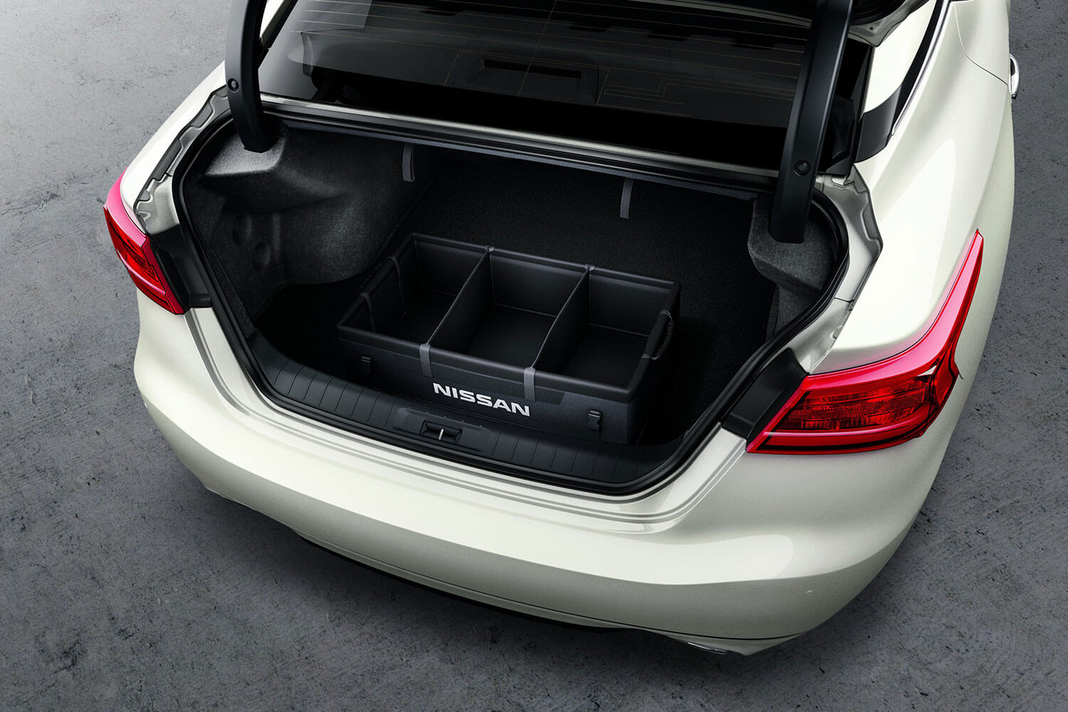 TRUNK ORGANIZER